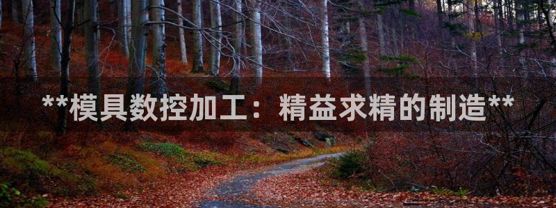 太阳集团网址首页：**模具数控加工：精益求精的制造**