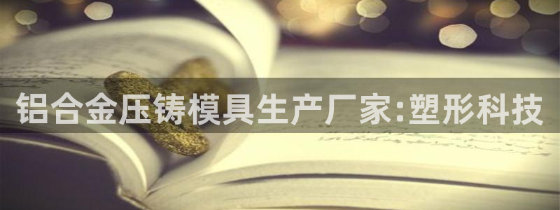 太阳游戏视频：铝合金压铸模具生产厂家:塑形科技