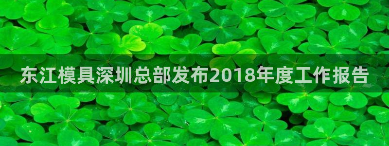 高淳红太阳集团：东江模具深圳总部发布2018年度工作报告