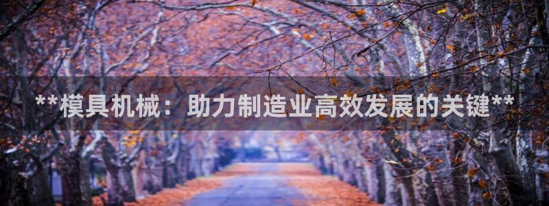 太阳集团股份有限公司招聘