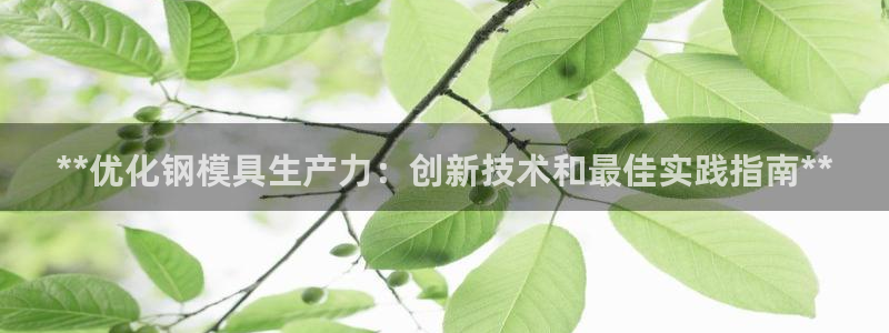 太阳成集团app：**优化钢模具生产力：创新技术和最佳实践指南**