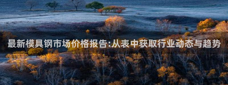 太阳影业投资：最新模具钢市场价格报告:从表中获取行业动态与趋势