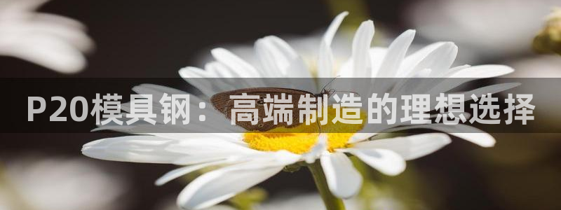 太阳集团娱乐网8722手机登录：P20模具钢：高端制造的理想选择