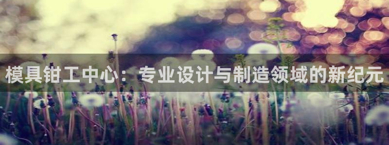 太阳成集团娱乐：模具钳工中心：专业设计与制造领域的新纪元