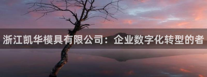 太阳成集团tyc151：浙江凯华模具有限公司：企业数字化转型的者