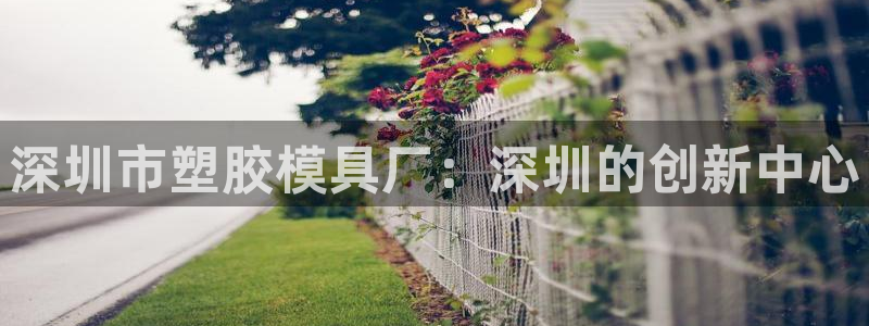 太阳集团2018登录网址查询：深圳市塑胶模具厂：深圳的创新中心