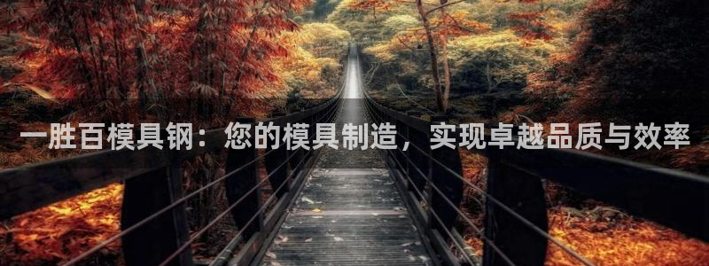 太阳成集团tyc234cc振兴：一胜百模具钢：您的模具制造，实现卓越品质与效率