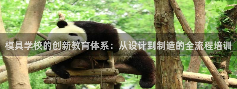 太阳成集团电影：模具学校的创新教育体系：从设计到制造的全流程培训