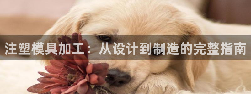 2003网站太阳集团：注塑模具加工：从设计到制造的完整指南