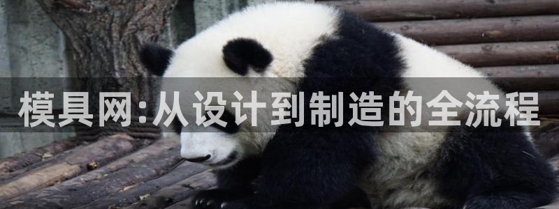 太阳集团娱乐场：模具网:从设计到制造的全流程