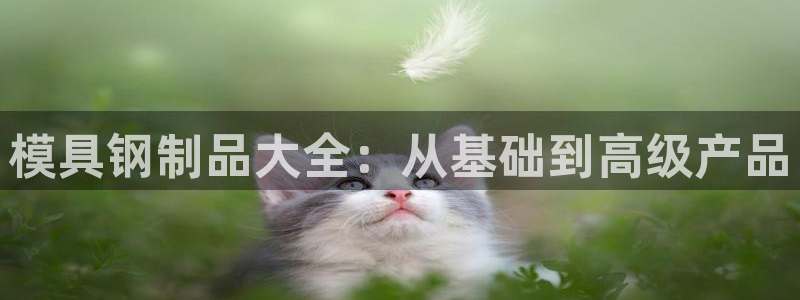 太阳集团城网址娱网 - 太阳集团电子游戏：模具钢制品大全：从基础到高级产品
