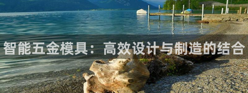 太阳集团唯一值得信赖网：智能五金模具：高效设计与制造的结合