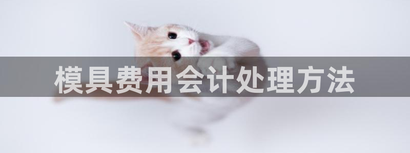 太阳集团游戏官方网址8827：模具费用会计处理方法