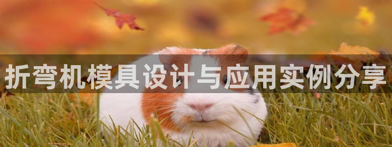 太阳集团电子游戏官方网站