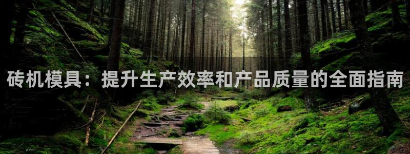 太阳成集团客服：砖机模具：提升生产效率和产品质量的全面指南