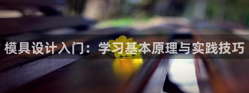 太阳成集团tyc234cc[主页]网：模具设计入门：学习基本原理与实践技巧