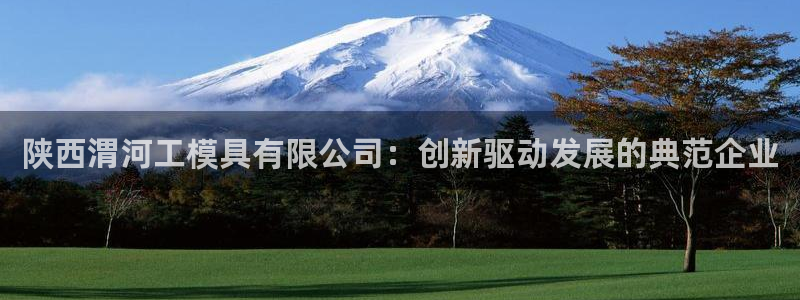 太阳集团总裁：陕西渭河工模具有限公司：创新驱动发展的典范企业