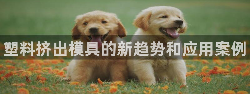 太阳阳城集团：塑料挤出模具的新趋势和应用案例