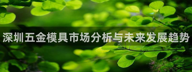 太阳集团电子游戏(中国)有限公司：深圳五金模具市场分析与未来发展趋势