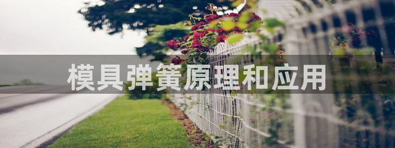 太阳成集团网址 app：模具弹簧原理和应用
