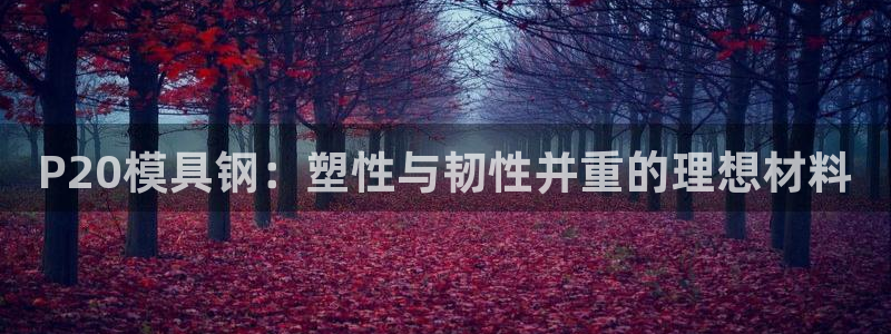 太阳集团城注册就送38welcome：P20模具钢：塑性与韧性并重的理想材料