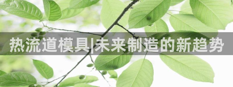 太阳成集团app：热流道模具|未来制造的新趋势