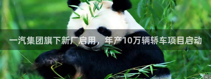 2138cn太阳集团古天乐·网上娱乐：一汽集团旗下新厂启用，年产10万辆轿车项目启动