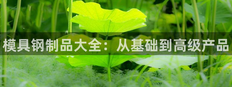 太阳影业投资