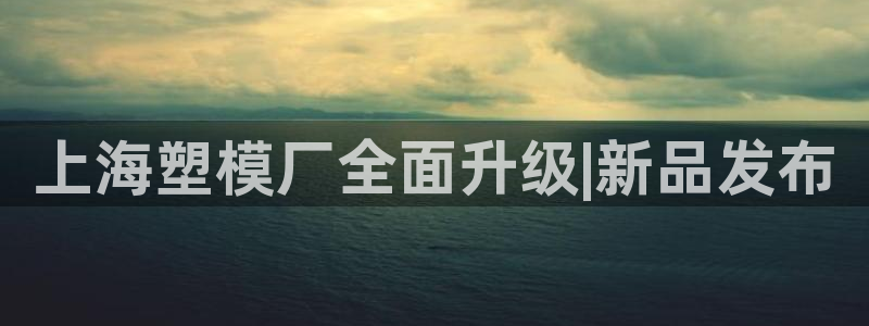 太阳地产老板：上海塑模厂全面升级|新品发布
