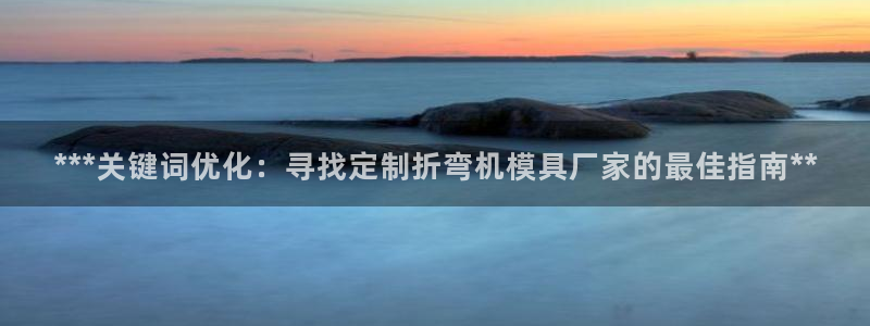 太阳集团城娱8722官方网站：***关键词优化：寻找定制折弯机模具厂家的最佳指南**