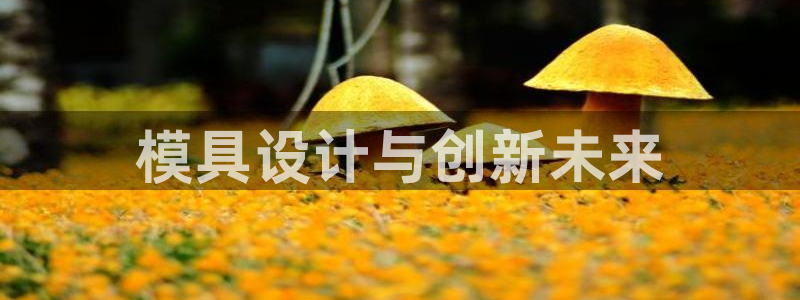 太阳集团董事长是谁?：模具设计与创新未来
