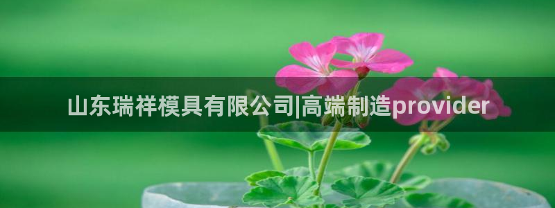 太阳app软件：山东瑞祥模具有限公司|高端制造provider
