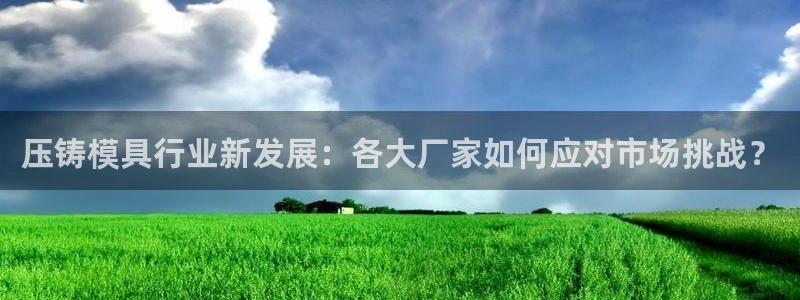 太阳成集团tyc122ccvlp：压铸模具行业新发展：各大厂家如何应对市场挑战？