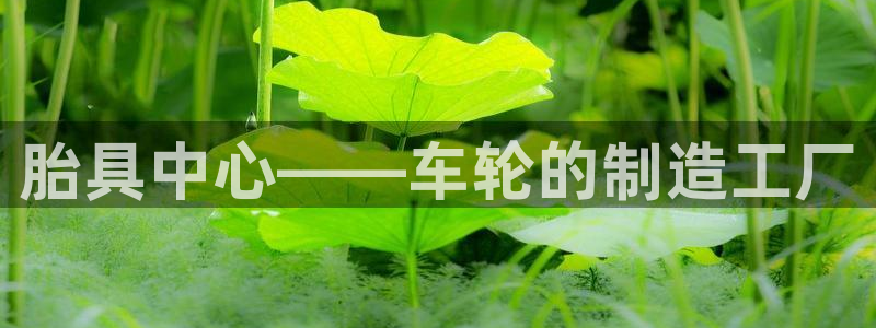太阳集团8027：胎具中心——车轮的制造工厂