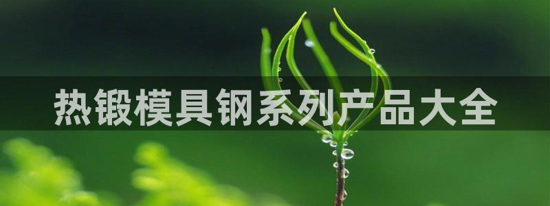 太阳成集团的官方网站：热锻模具钢系列产品大全