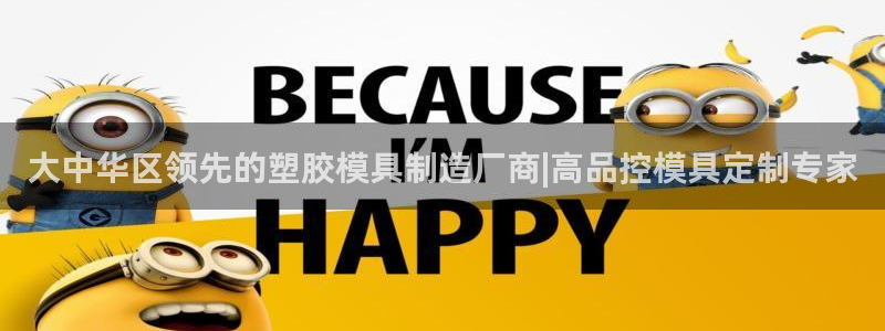 太阳gg注册/登录：大中华区领先的塑胶模具制造厂商|高品控模具定制专家