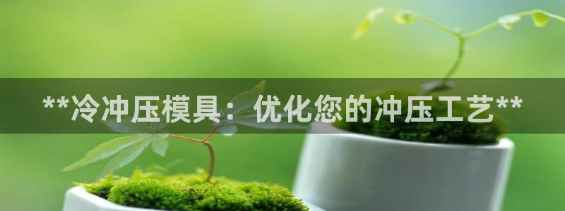 太阳成集团tyc234cc振兴：**冷冲压模具：优化您的冲压工艺**