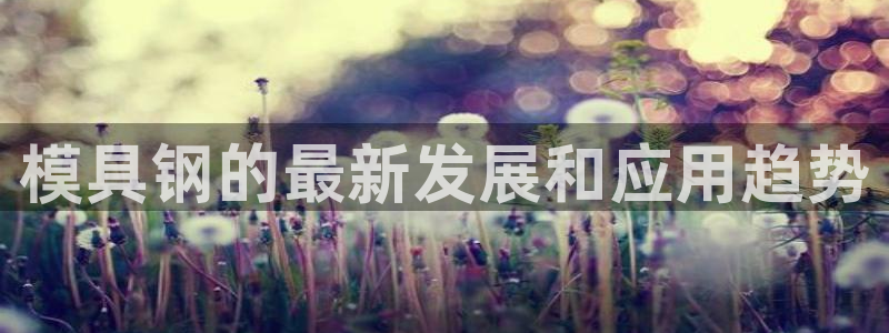 太阳成集团洗米华：模具钢的最新发展和应用趋势