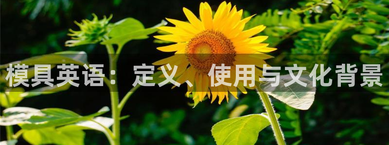 太阳集团网站多少