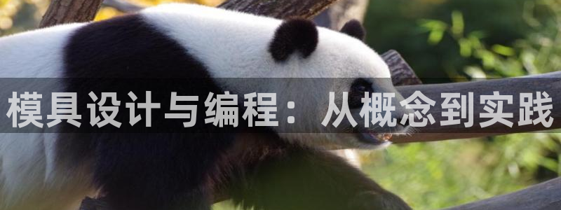太阳成集团com：模具设计与编程：从概念到实践