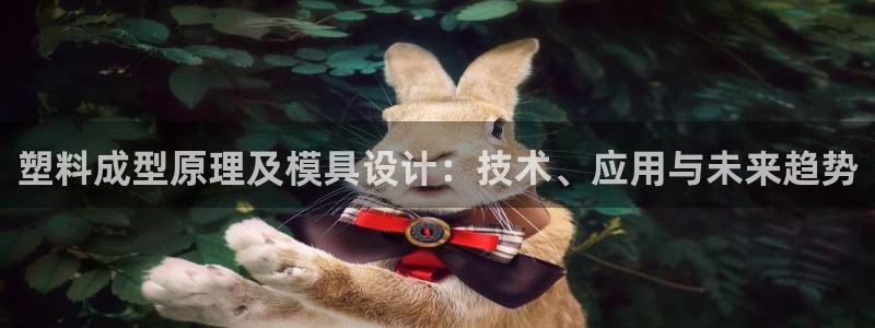 太阳集团主要是做什么的