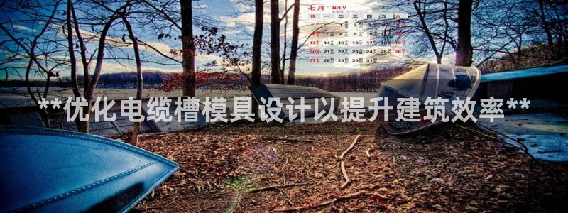 063801太阳集团备用网址：**优化电缆槽模具设计以提升建筑效率**