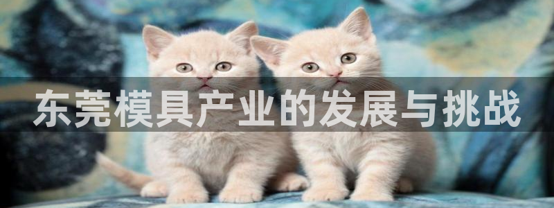太阳成集团网站取款：东莞模具产业的发展与挑战