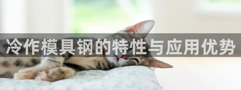 太阳商城贵宾会：冷作模具钢的特性与应用优势