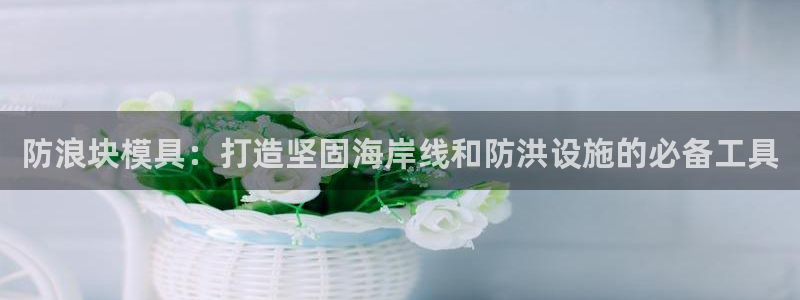 太阳集团2018登录网址：防浪块模具：打造坚固海岸线和防洪设施的必备工具