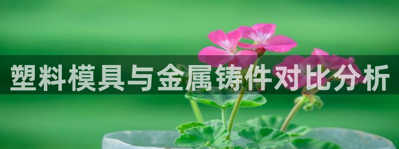 太阳gg平台注册：塑料模具与金属铸件对比分析