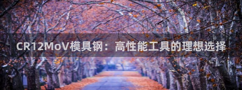 太阳集团城网址娱网 - 太阳集团电子游戏：CR12MoV模具钢：高性能工具的理想选择
