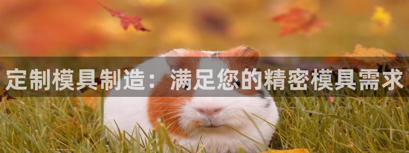 太阳商城贵宾会：定制模具制造：满足您的精密模具需求