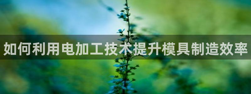 太阳成集团lougo图片：如何利用电加工技术提升模具制造效率