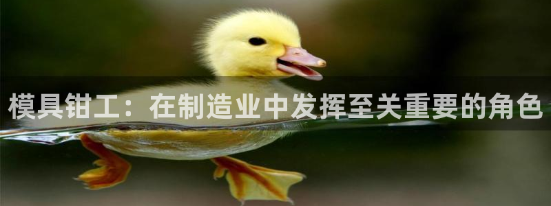 太阳集团游戏App：模具钳工：在制造业中发挥至关重要的角色